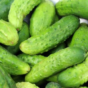 cucumbers, season, a vegetable