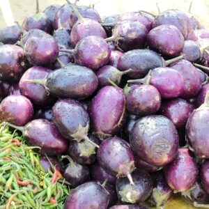 eggplant, indian, brinjal