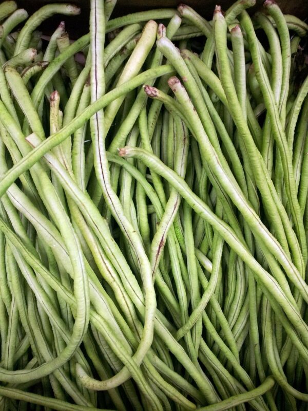 french bean basket, green bean, long bean