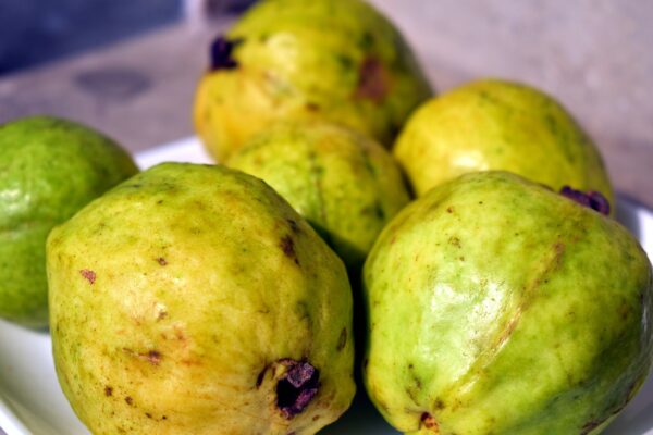 guavas, fruit, psidium