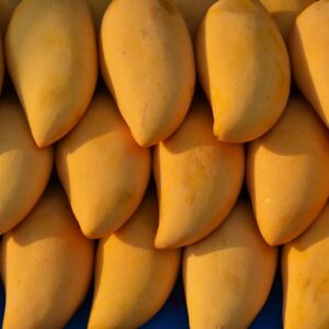 mangoes, fruit, mango