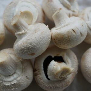mushrooms, white mushroom, eat
