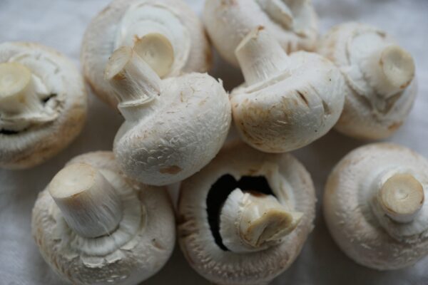 mushrooms, white mushroom, eat