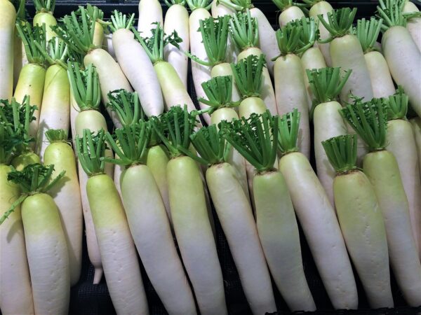 radish, blue neck, white